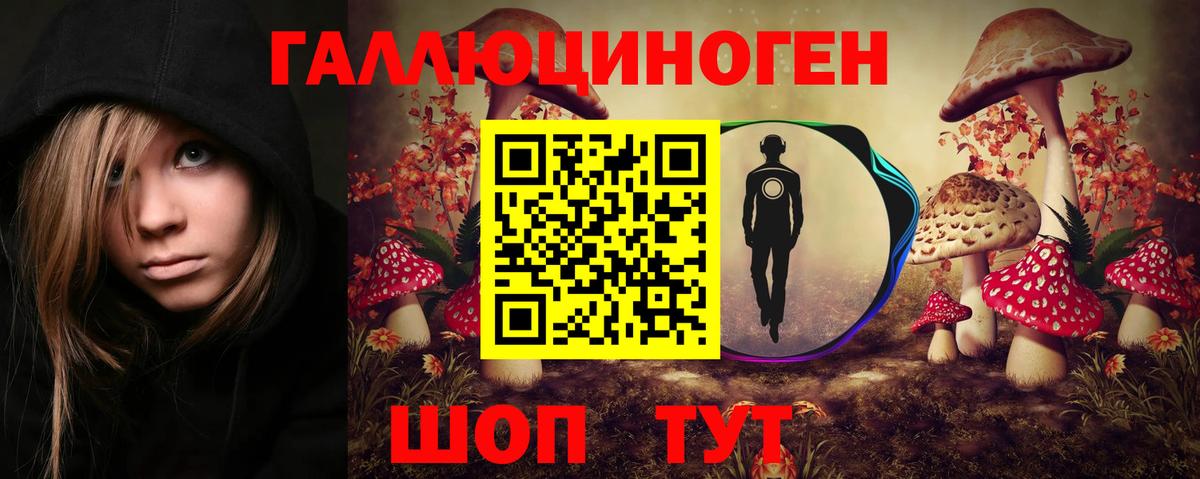 Озёрск  Псилоцибиновые грибы Cubensis  Вход с VPN  Псилоцибиновые грибы Cubensis 